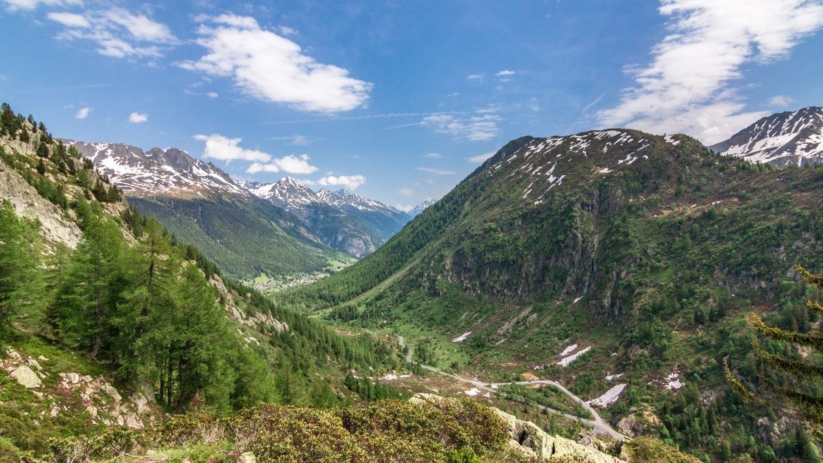 Grünes Alpental bei Chamonix in den französischen Alpen