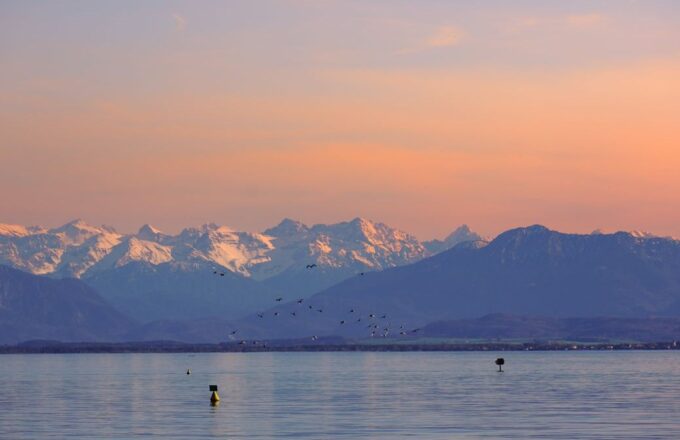 See im bayerischen Alpenvorland im Abendrot mit schneebedeckten Alpengipfeln und Vogelschwarm