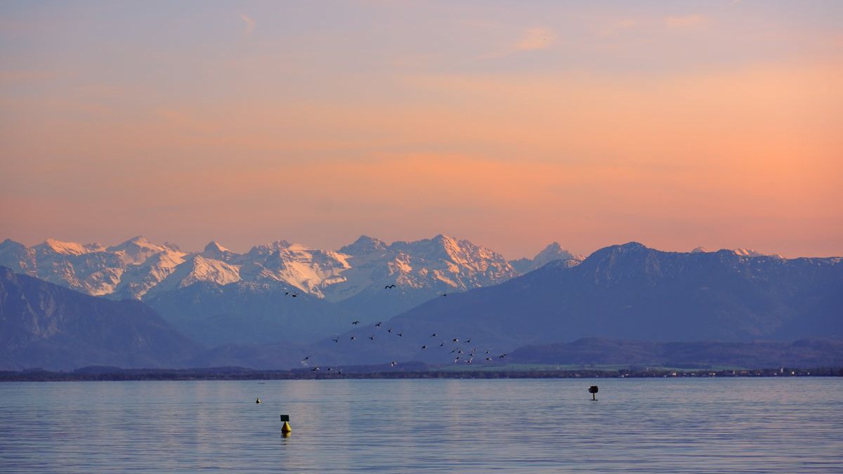 See im bayerischen Alpenvorland im Abendrot mit schneebedeckten Alpengipfeln und Vogelschwarm