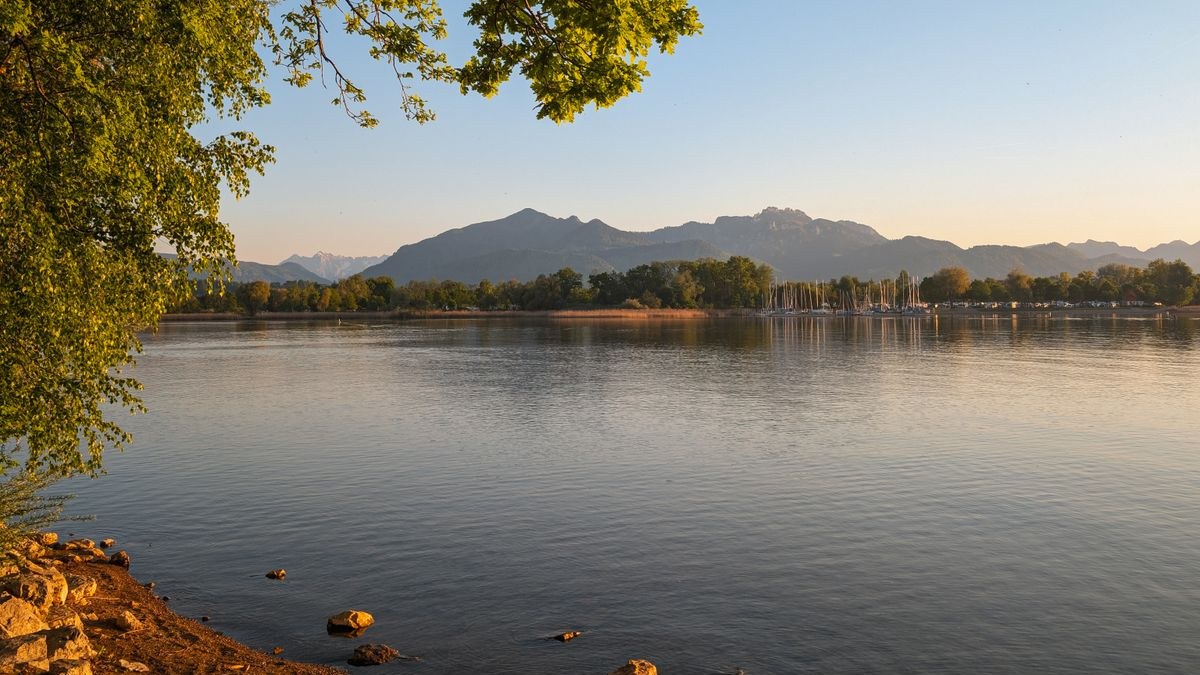 Chiemsee im Abendlicht mit Bäumen am Ufer und den Chiemgauer Alpen im Hintergrund