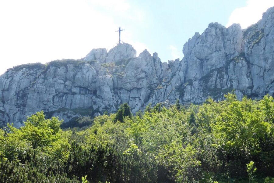 Felsgrat der Kampenwand mit Gipfelkreuz über Latschen