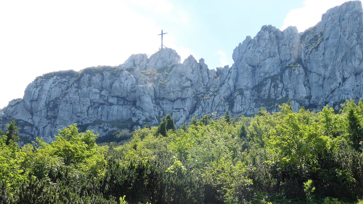 Felsgrat der Kampenwand mit Gipfelkreuz über Latschen