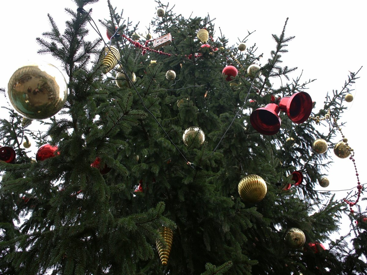 Geschmückter Christbaum am Weihnachtsmarkt auf Schloss Thurn und Taxis