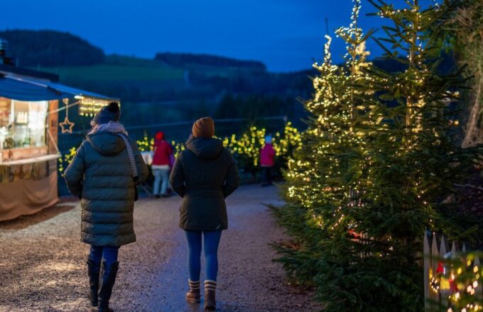 Besucher gehen abends über einen beleuchteten Weihnachtsmarkt im Freien